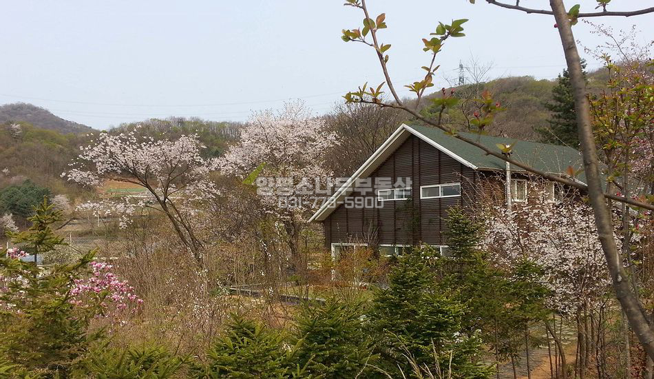 양평군 양서면 신원리 산자락 터 넓은 주택