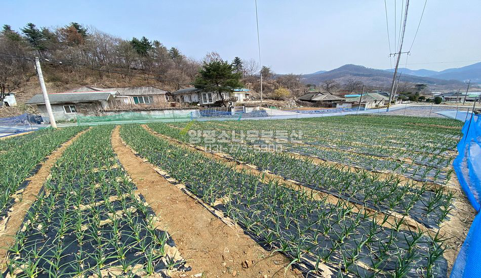 양평군 지평면 옥현리 3면이 도로에 접한 마을 내 부지
