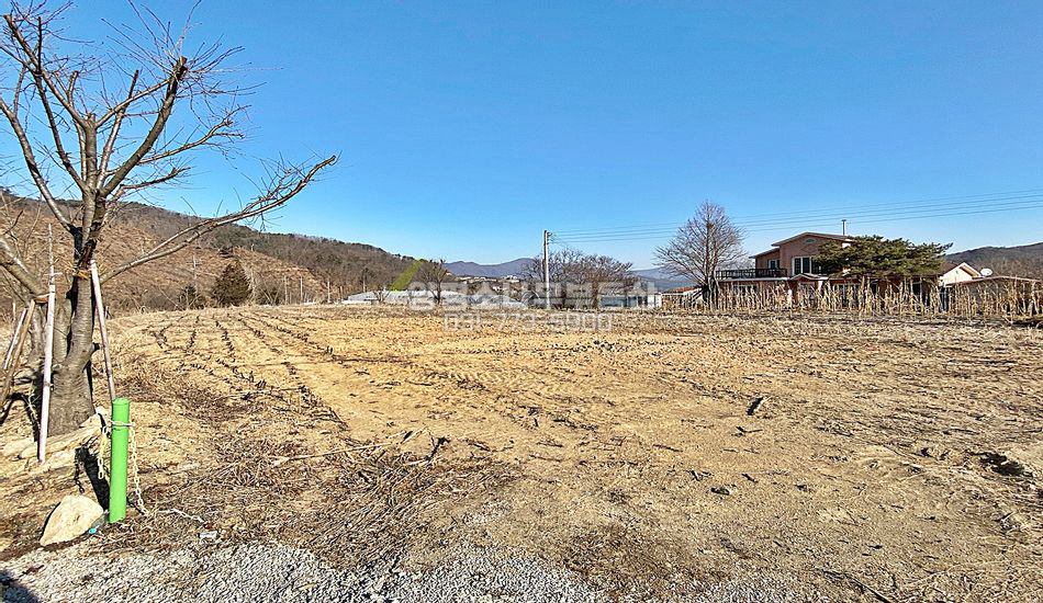 양평군 강하면 전수리 2차선 도로접한 진흥농지