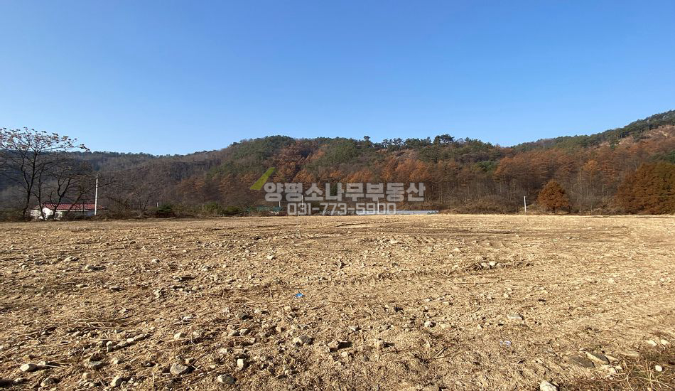 양평군 양동면 계정리 접근성 좋은곳 평편한 주택지