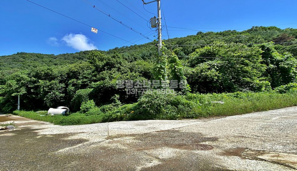 양평군 서종면 수능리 완경사 자연림 개발임야