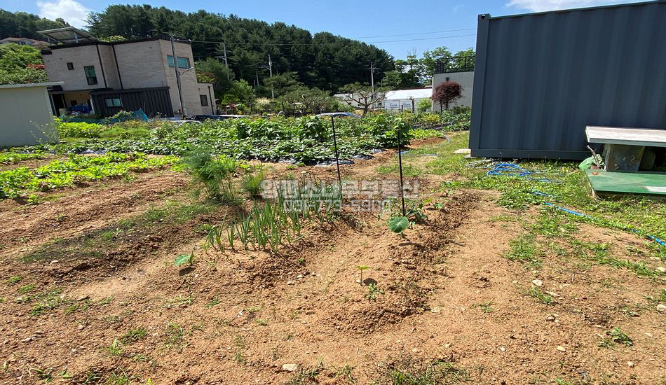 양평군 양서면 증동리 평편한 주말농장/컨테이너