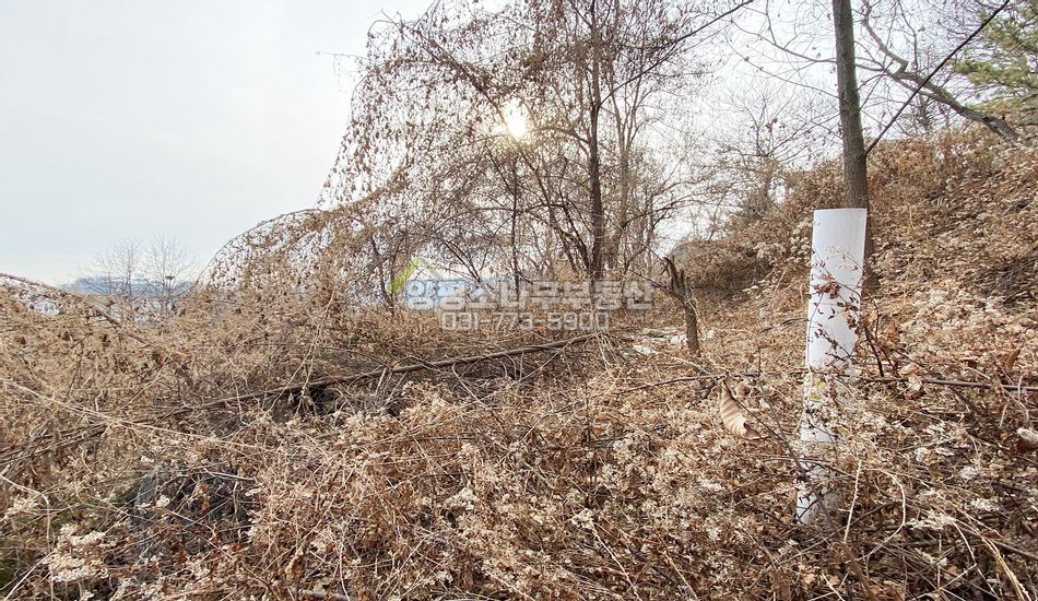 양평군 강상면 교평리 단지상단 주택지