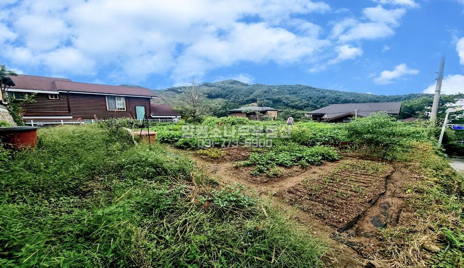 양평군 서종면 수능리 접근성 좋은 단지형 필지