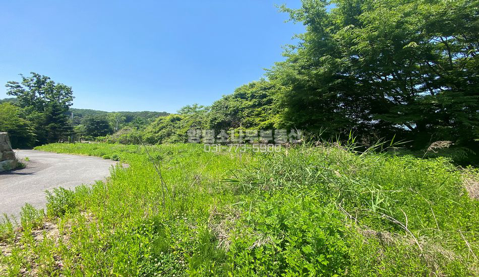 양평군 강하면 전수리 마을 안쪽 평편한 부지