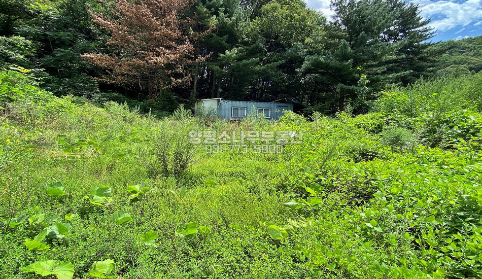 양평군 양서면 목왕리 언덕 위 주택지
