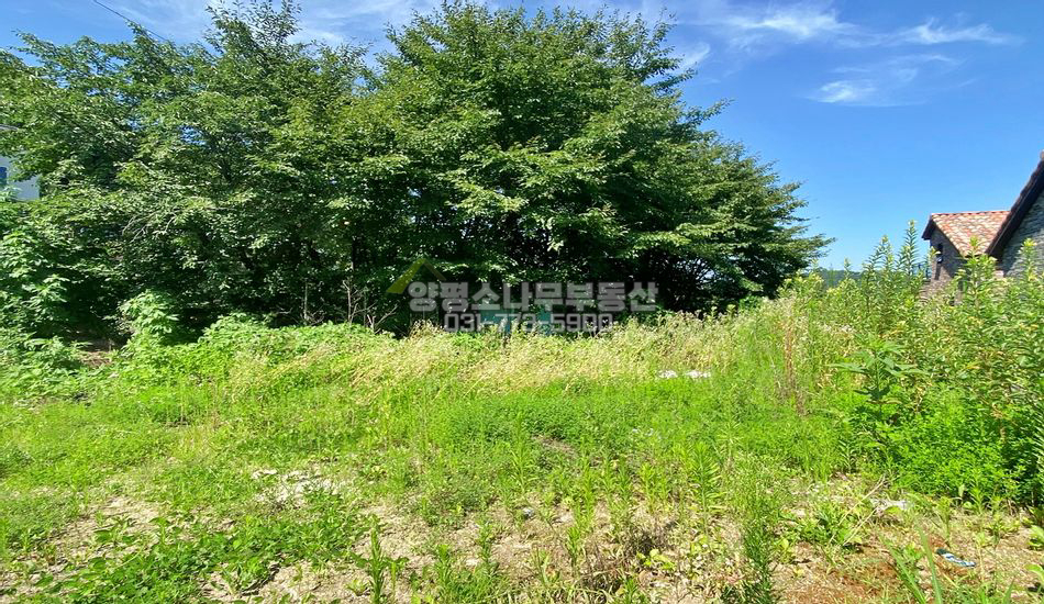 양평군 옥천면 옥천리 북쪽 트인전망 주택지