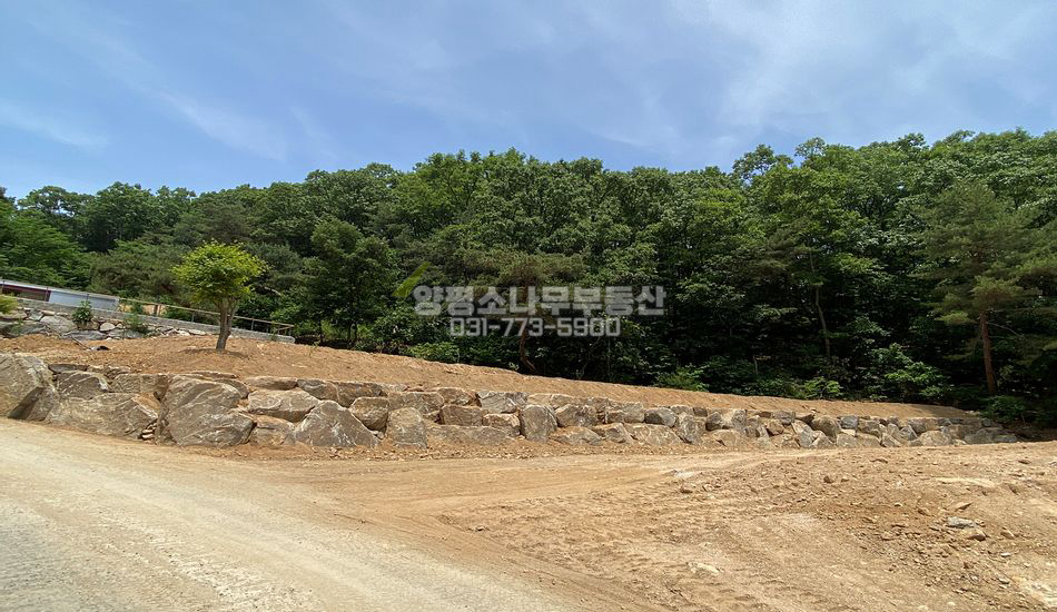 양평군 지평면 대평리 숲속 단지형 주택지