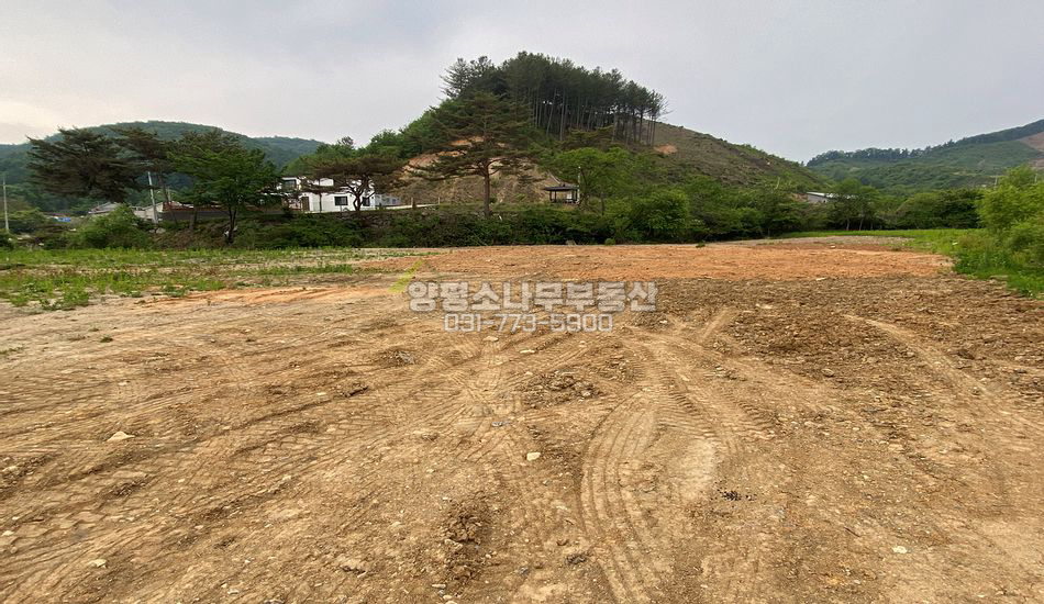 양평군 단월면 향소리 2차선 접한 계획관리 부지