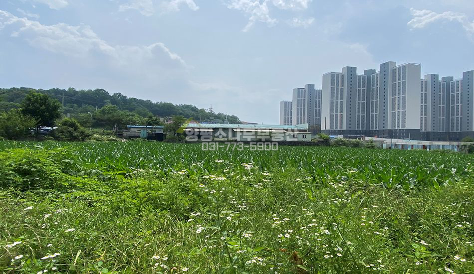 양평군 양평읍 양근리 양평읍 근생부지