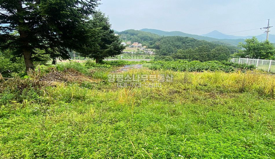 양평군 옥천면 신복리 동향전망 자연석토목 주택지