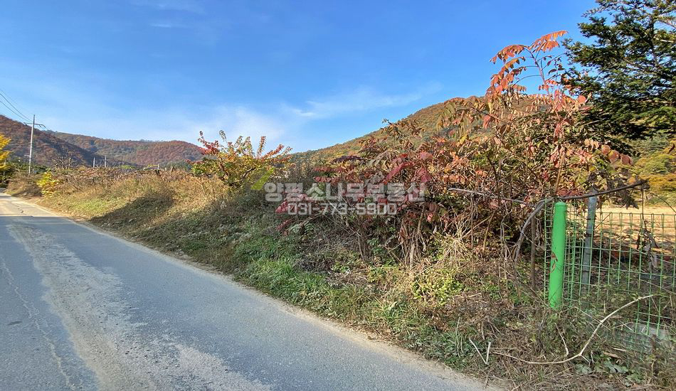 양평군 서종면 정배리 평편한 마을 초입 주택지