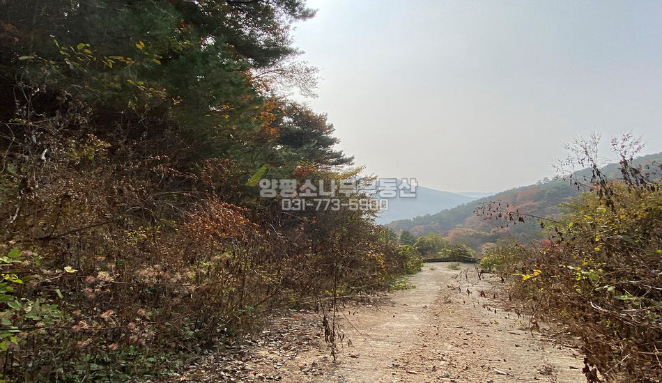 양평군 옥천면 용천리 용천리 단지 인근 개발부지