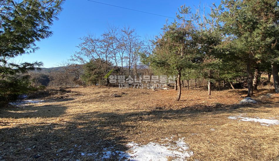 양평군 개군면 공세리 언덕위 남향 주택지
