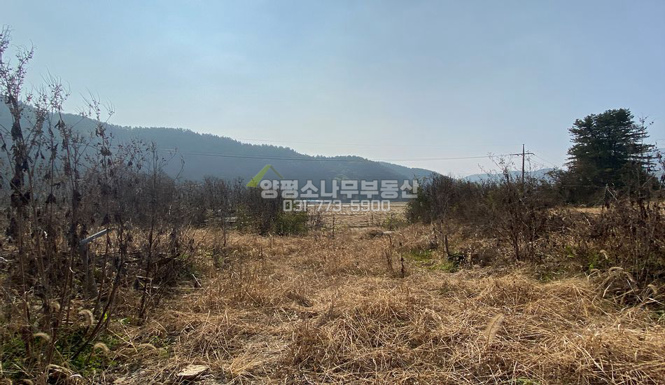 양평군 용문면 조현리 야트막한 남향 주택지/토목예정