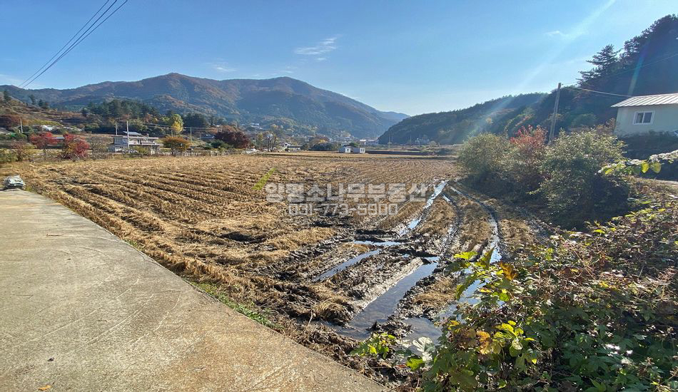 양평군 서종면 정배리 정배초 도보 접근성 좋은 주택지