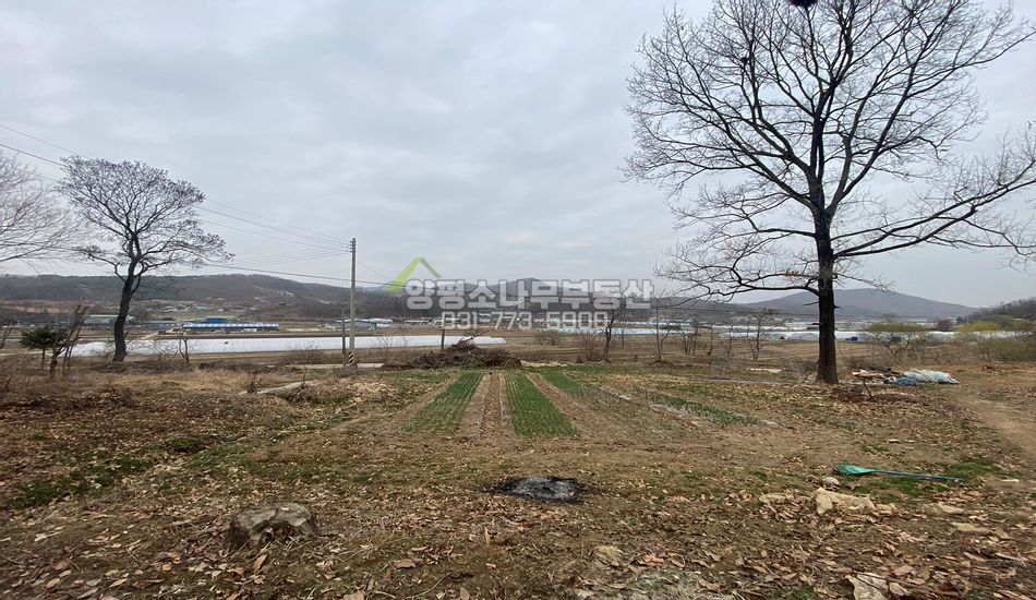 양평군 지평면 옥현리 평지 주택지/분할매매