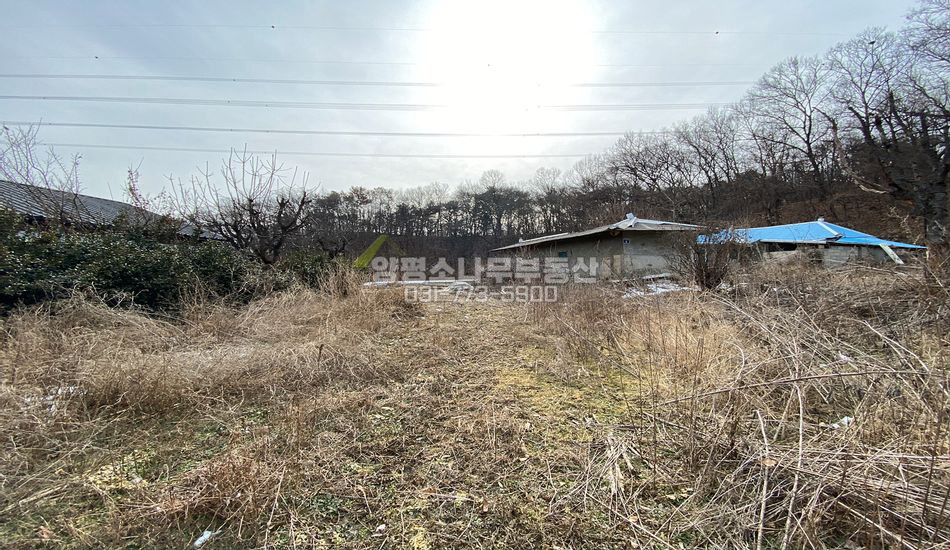 양평군 개군면 하자포리 37번국도인근 주택지