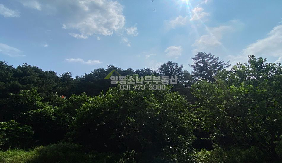 양평군 청운면 갈운리 마을끝자락 임야