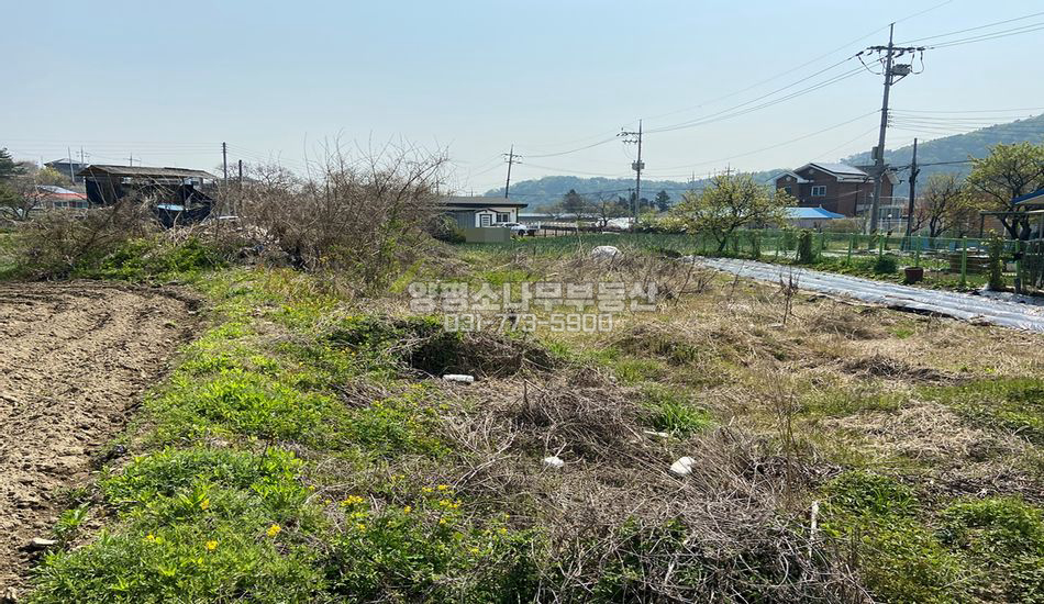 양평군 강상면 세월리 평편한 주택지/근생부지/계획관리