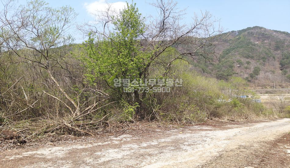 양평군 청운면 용두리 저렴한 계획관리부지