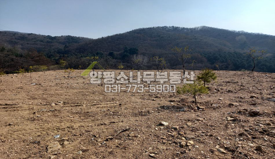 양평군 강하면 전수리 마을 안쪽 저수지인근/단지형