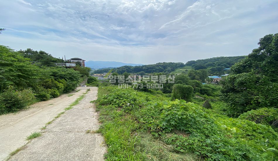 양평군 양평읍 도곡리 경사지 북향 트인전망