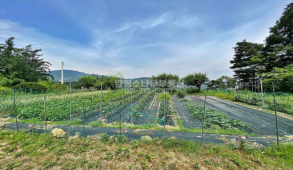 양평군 강하면 동오리 마을끝자락 주택지