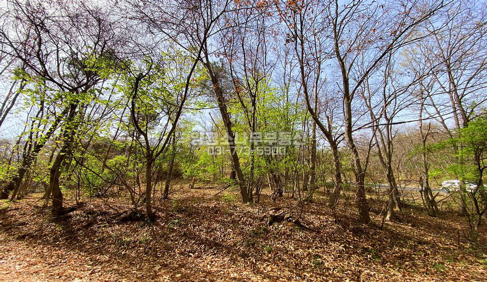 양평군 용문면 금곡리 마을상단 주택지/토목필요함