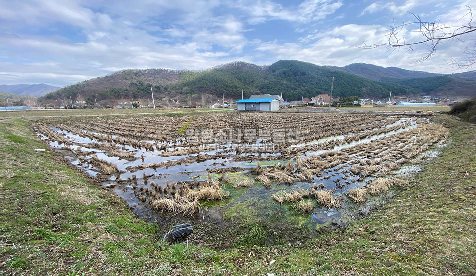 양평군 용문면 중원리 접근성 좋은곳 진흥구역 농지
