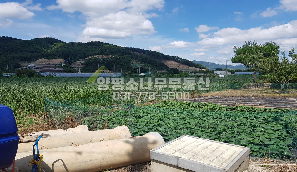 양평군 강하면 전수리 진흥구역 토지 분할매매