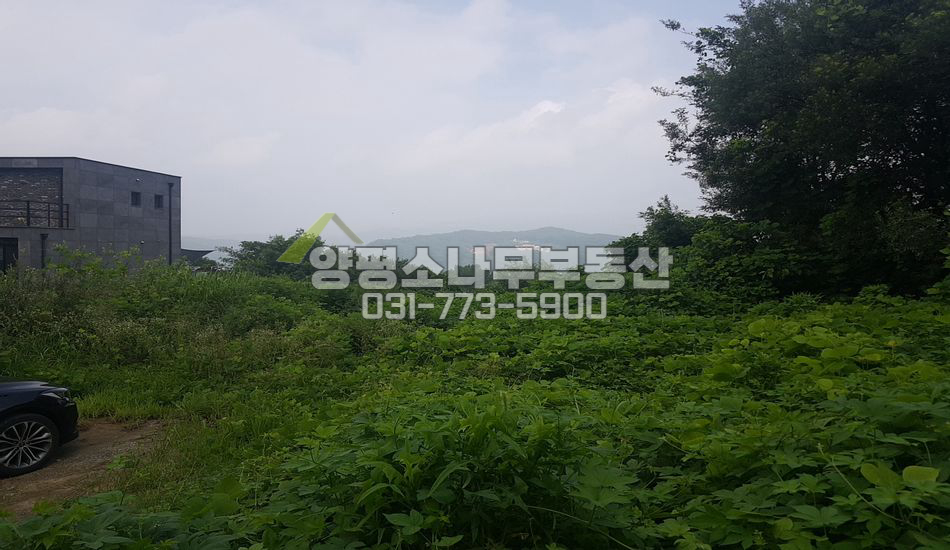 양평군 강하면 전수리 남향 건축가능/강조망/토목완료