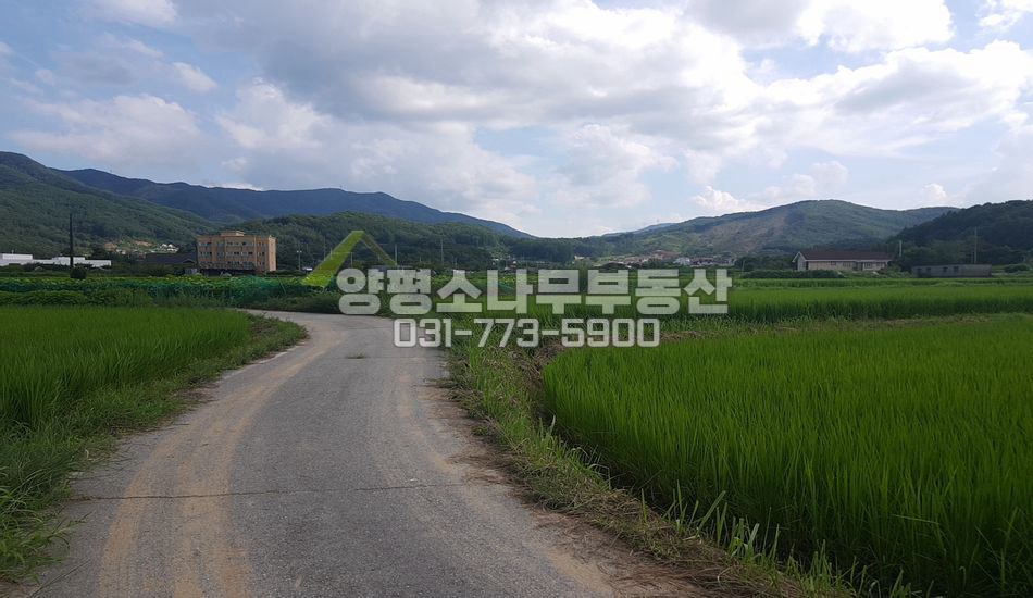 양평군 강하면 성덕리 전형적인 절대농지/농업인주택가능
