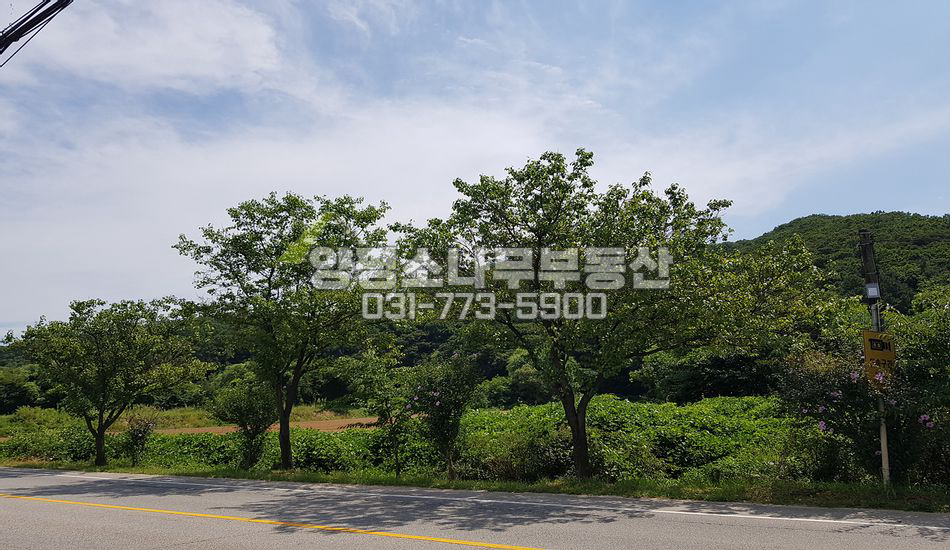 양평군 강하면 운심리 88지방도 접한 근생부지