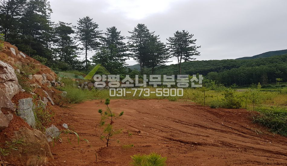 양평군 강하면 성덕리 마을 안쪽 경관좋은 필지