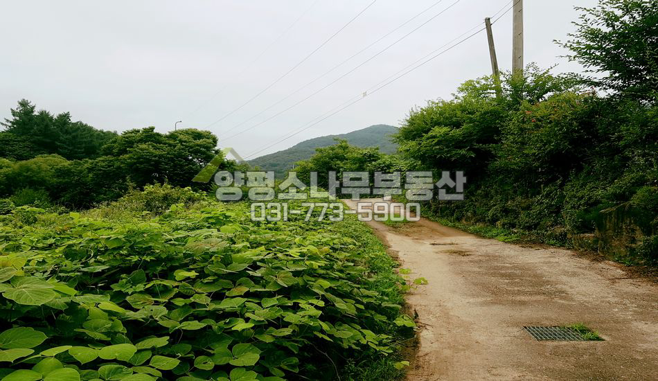 양평군 강하면 항금리 마을안쪽 계곡접한 땅