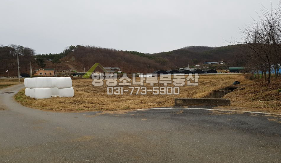 양평군 강하면 왕창리 특급 진흥구역 토지