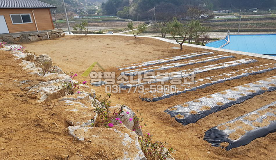 양평군 단월면 야트막한곳,트인전망