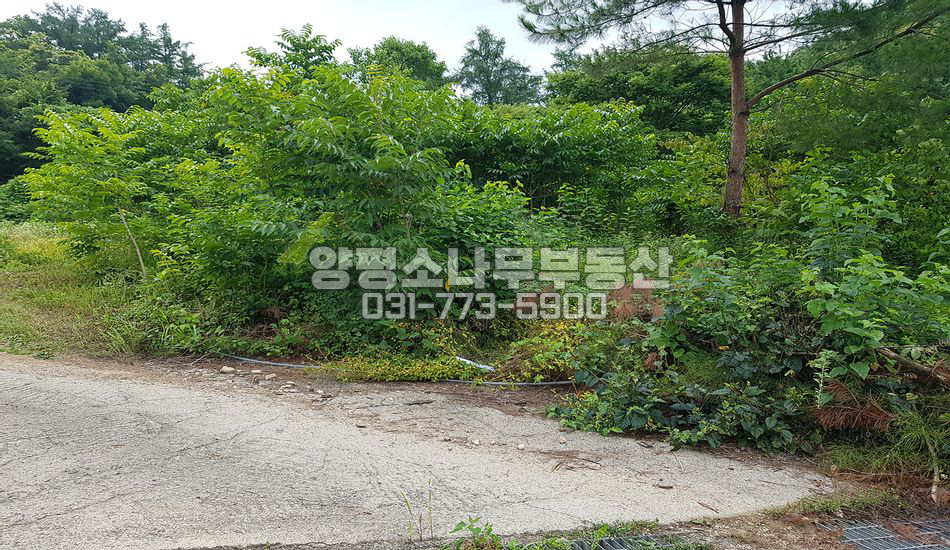 양평군 강상면 송학리 지방도 인근 트인전망
