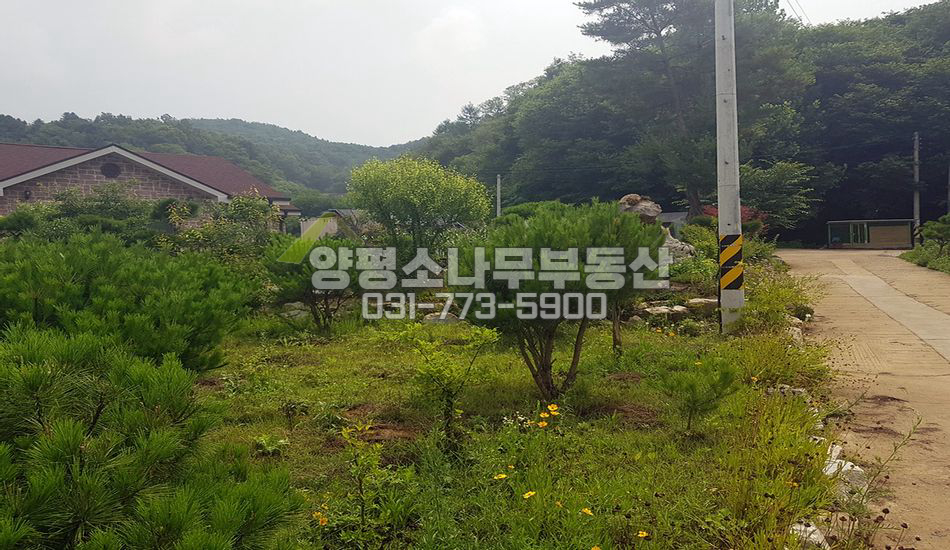 양평군 용문면 신점리 평지 남향전망/용문산인근