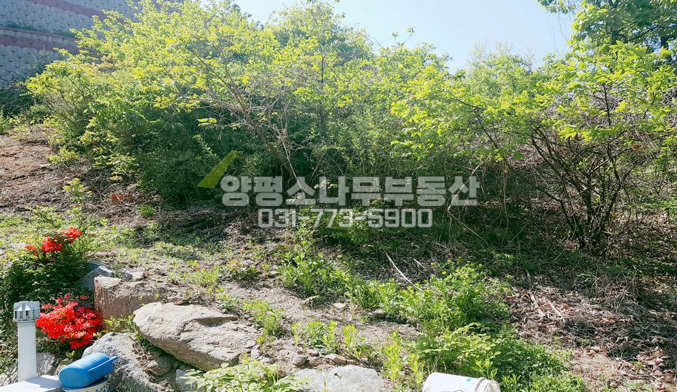 양평군 강하면 성덕리 지방도 가까운 토지/토목요함
