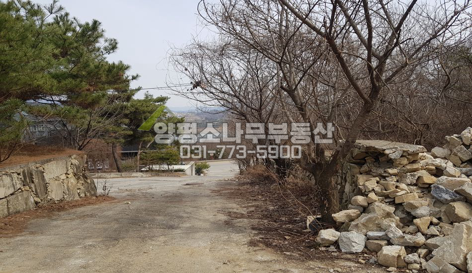 양평군 강상면 교평리 최고 접근성 산자락