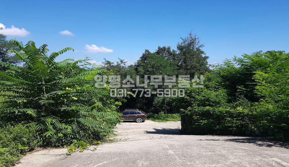 여주시 대신면 천서리 산자락/토목완료/분할가능/이포대교
