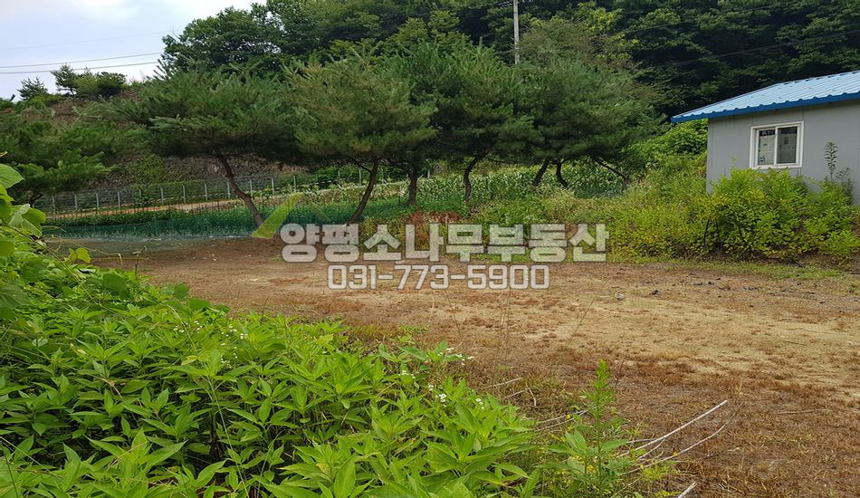 양평군 강상면 송학리 대로변 인근 전망좋은땅/전용비X