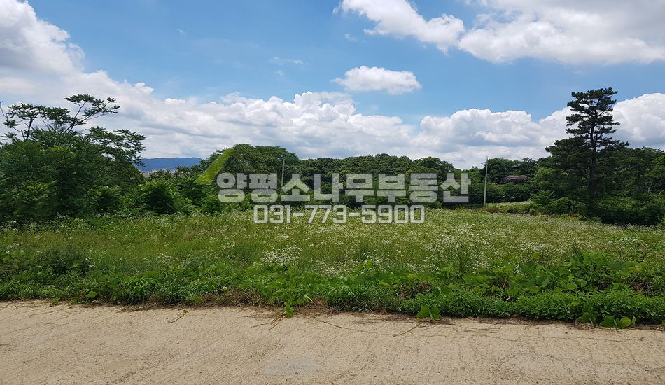 양평군 양평읍 백안리 토목완료/편한 남향전망