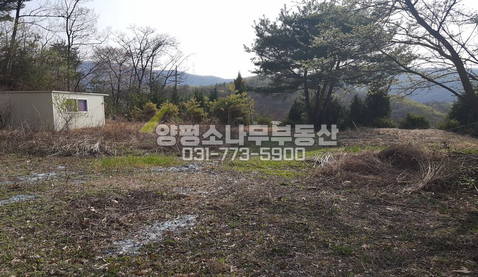 양평군 강하면 항금리 남향 트인 산조망/단지형 토지