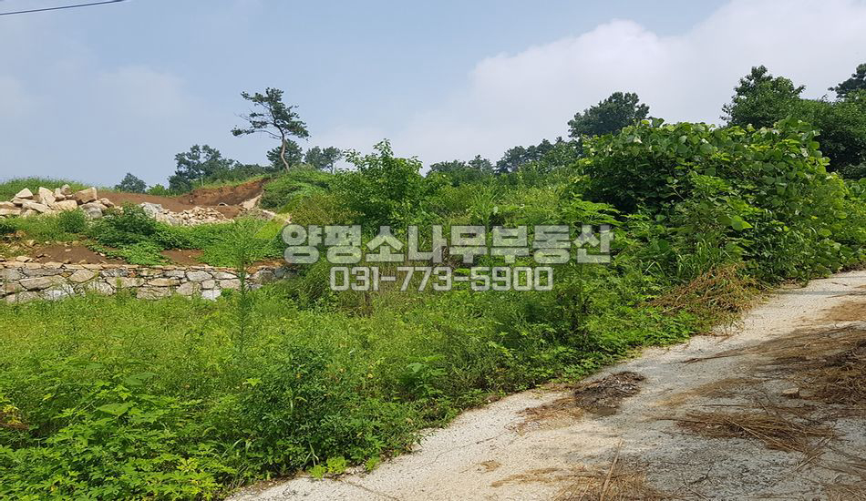 양평군 양평읍 도곡리 전망트인 한적한곳