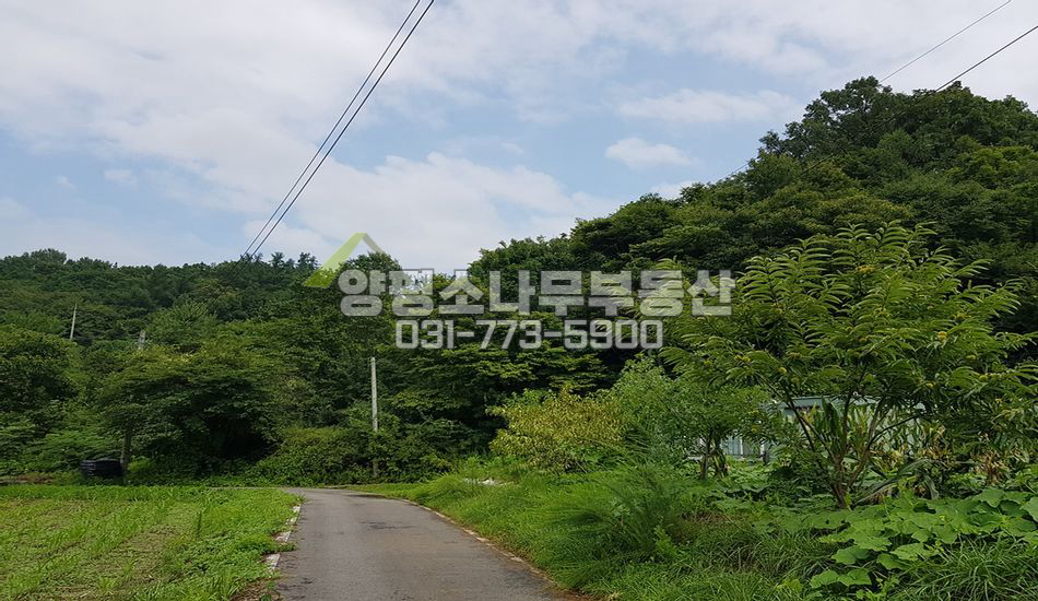 양평군 강상면 송학리 지방도 인근 개발부지
