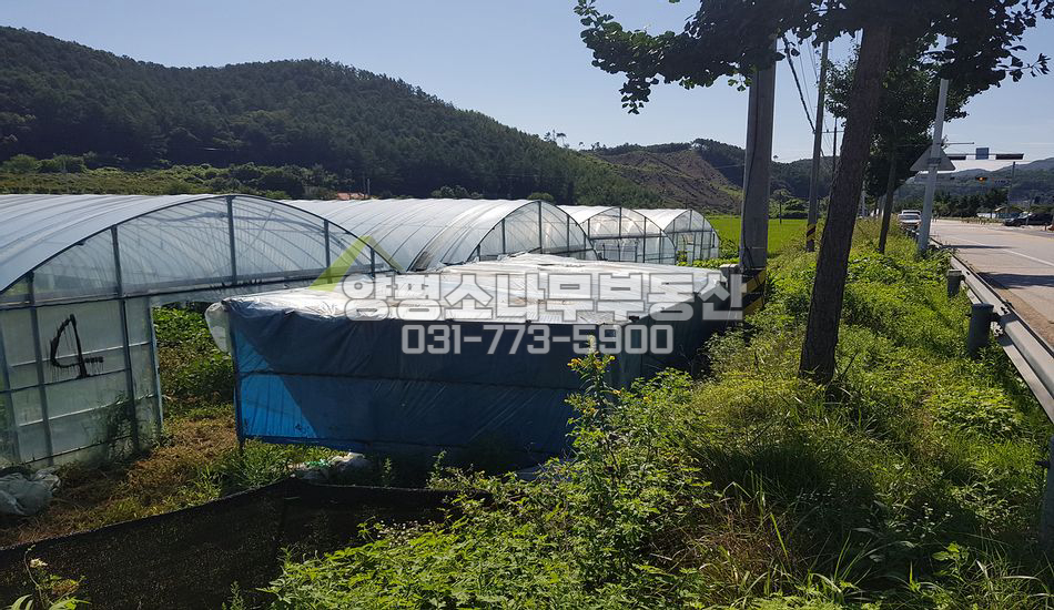 양평군 단월면 덕수리 대로변 진흥구역 토지