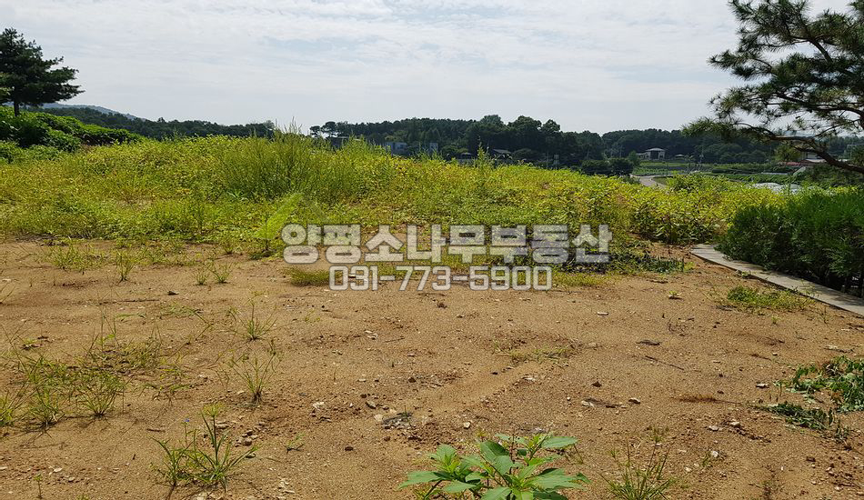 양평군 양평읍 회현리 토목완료/접근성 굿/양평역4.7KM